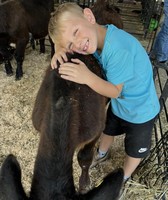 Audubon County Fair