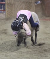 Boone County Fair