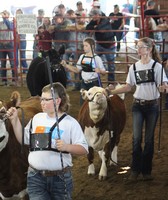 Boone County Fair