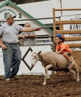 Cass County Fair