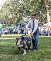 Cass County Fair