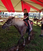 Cedar County Fair