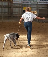 Cedar County Fair