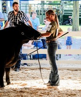 Clayton County Fair