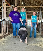 Crawford County Fair