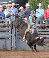 Dallas County Fair