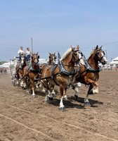 Delaware County Fair