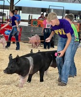 Floyd County Fair