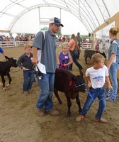 Franklin County Fair