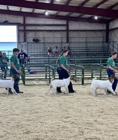 Greene County Fair