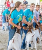 Hancock County District Fair