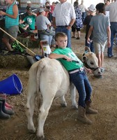 Hardin County Fair