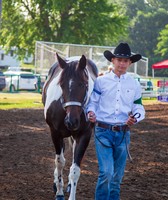 Jefferson County Fair