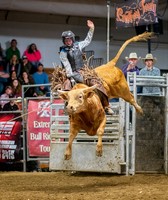 Lee County Fair