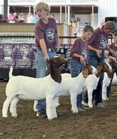 Madison County Fair