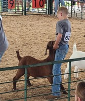 Muscatine County Fair