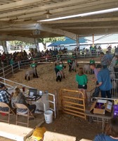 Plymouth County Fair