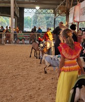 Polk County Fair