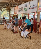 Polk County Fair