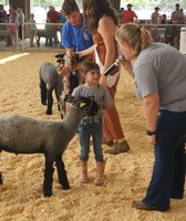 Polk County Fair