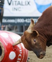 Shelby County Fair