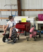 Shelby County Fair