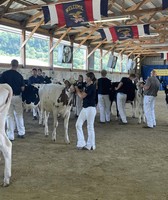 Winneshiek County Fair