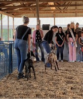 Vermilion County Fair