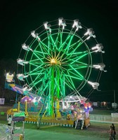 Henry County Fair