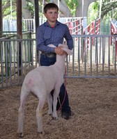 Ford County Fair