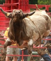 Olmsted County Fair