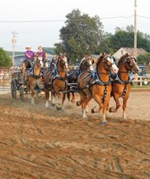 Olmsted County Fair