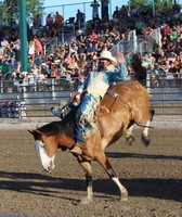 Schuyler County Fair