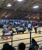 Knox County Fair