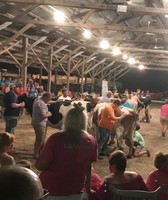 Clinton County Fair