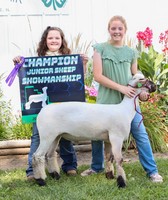 Shelby County 4-H Fair