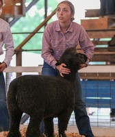 Shelby County 4-H Fair
