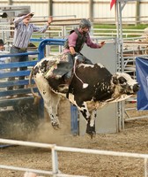 Warren County Fair