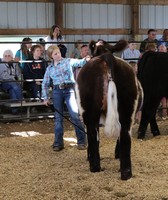 Warren County Fair