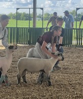 Cass County Fair