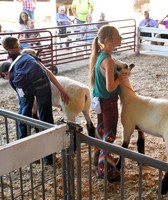 Menard County Fair