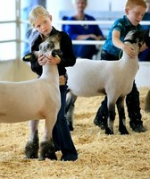 Richland County Fair