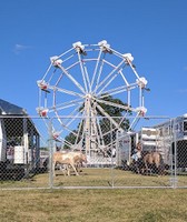 Champaign County Fair