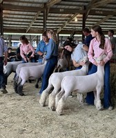 Champaign County Fair