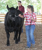 Fulton County Fair