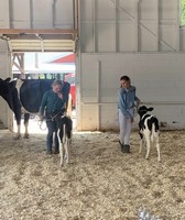 Madison County Fair