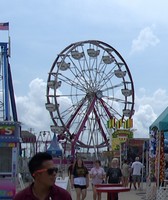 Mclean County Fair