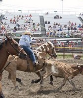 DuPage County Fair