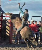 Coles County Fair