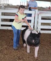 Brown County Fair